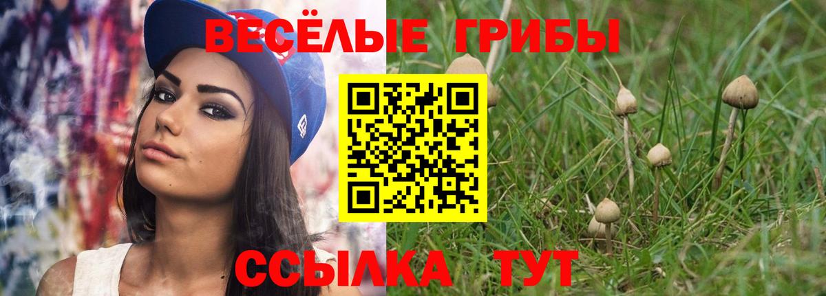 Галлюциногенные грибы Psilocybine cubensis  Вход с VPN  Асино 